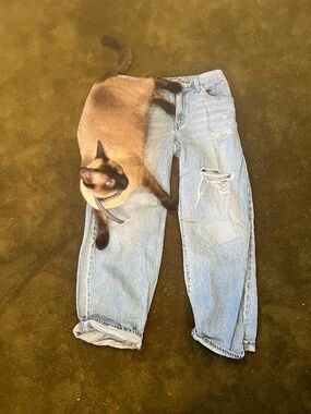 LEVIS BAGGY DAD JEANS